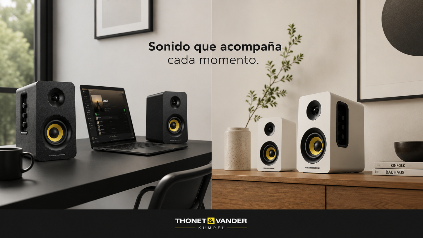 Parlante Thonet And Vander Kumpel 50W bluetooth 3.5mm RCA