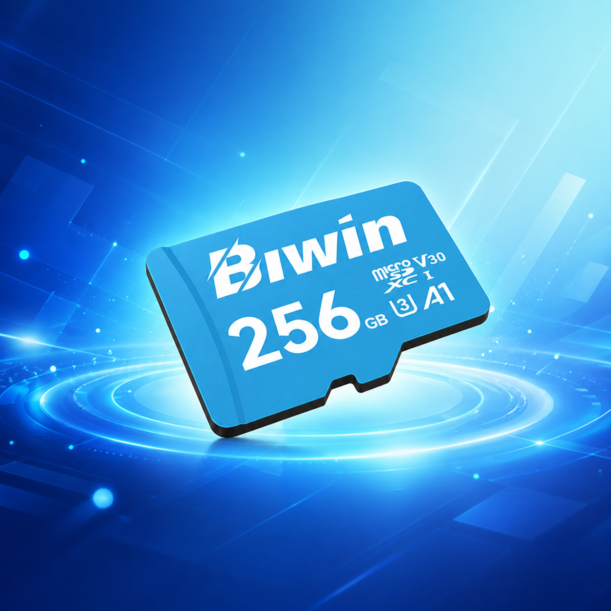Memoria micro SD 256GB MS100 - Class 10, A1, UHS-I (U3), V30 (up to 100MB/s read, up to 45MB/s write) - Biwin 256 GB