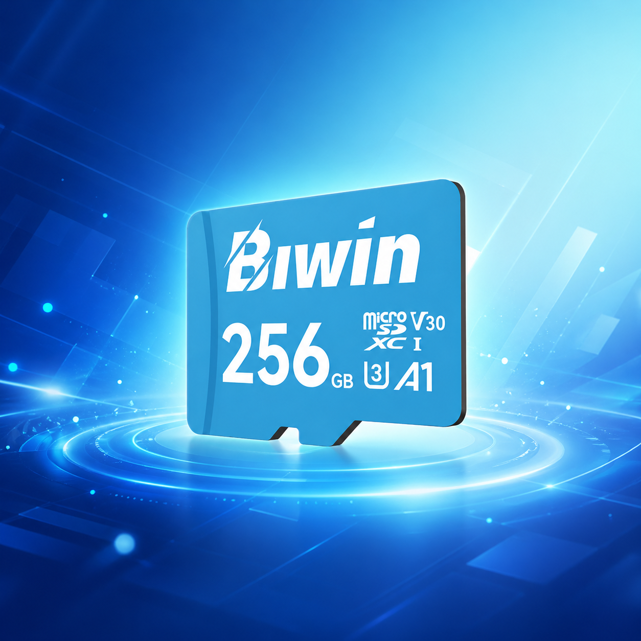 Memoria micro SD 256GB MS100 - Class 10, A1, UHS-I (U3), V30 (up to 100MB/s read, up to 45MB/s write) - Biwin 256 GB