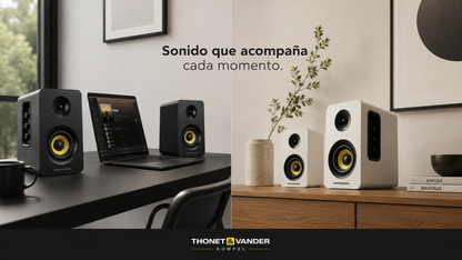 Parlante Thonet And Vander Kumpel 50W bluetooth 3.5mm RCA