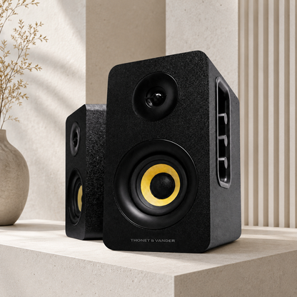Parlante Thonet And Vander Kumpel 50W bluetooth 3.5mm RCA